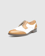 No. 381 - Braun/White