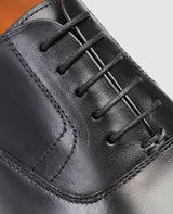 Marshall County - Schwarz