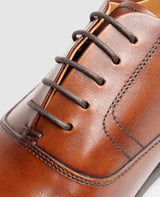 Winston CO - Chestnut Brown