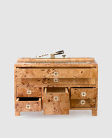 Shoe care box