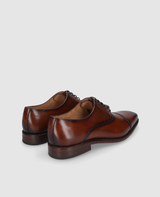 Liam CO - Brown