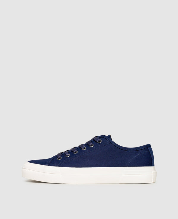 Teddie M - Dark Blue