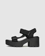 Dioon - Black