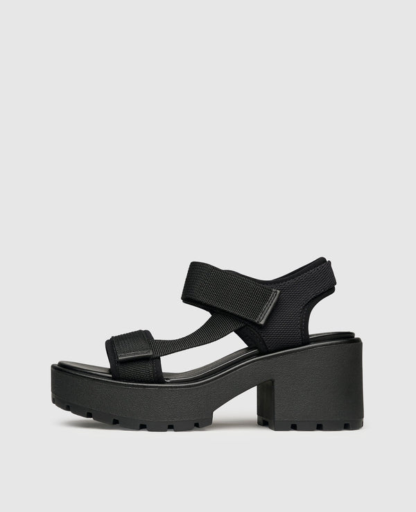 Dioon - Black