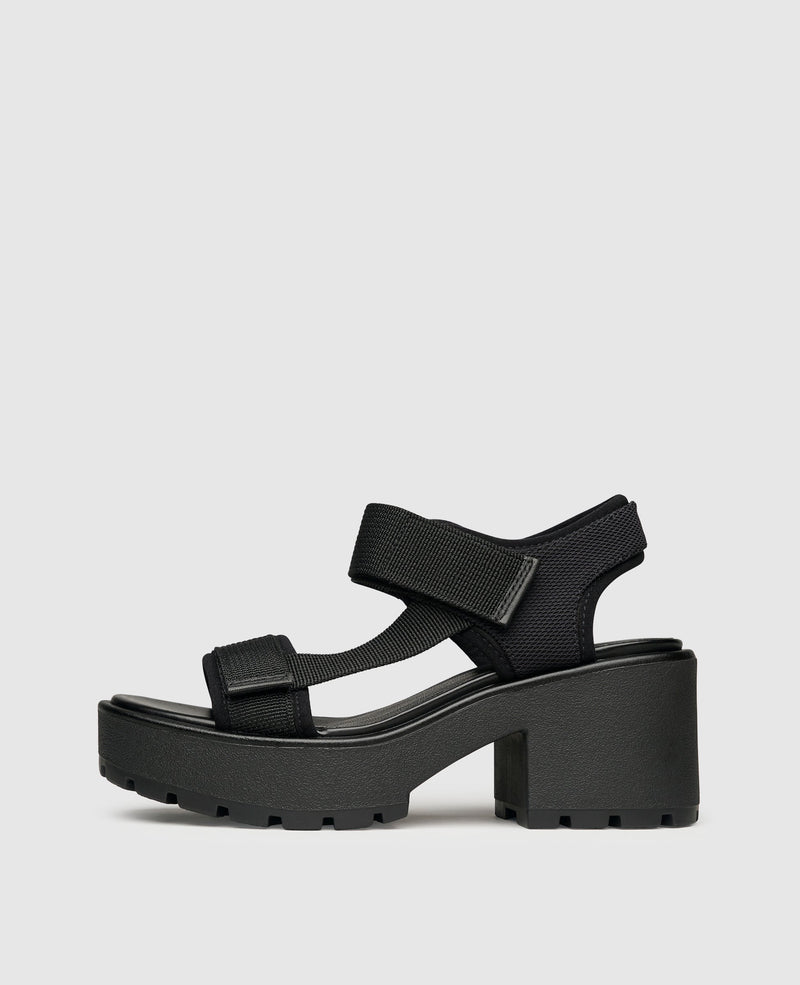 Dioon - Black