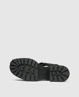 Dioon - Black