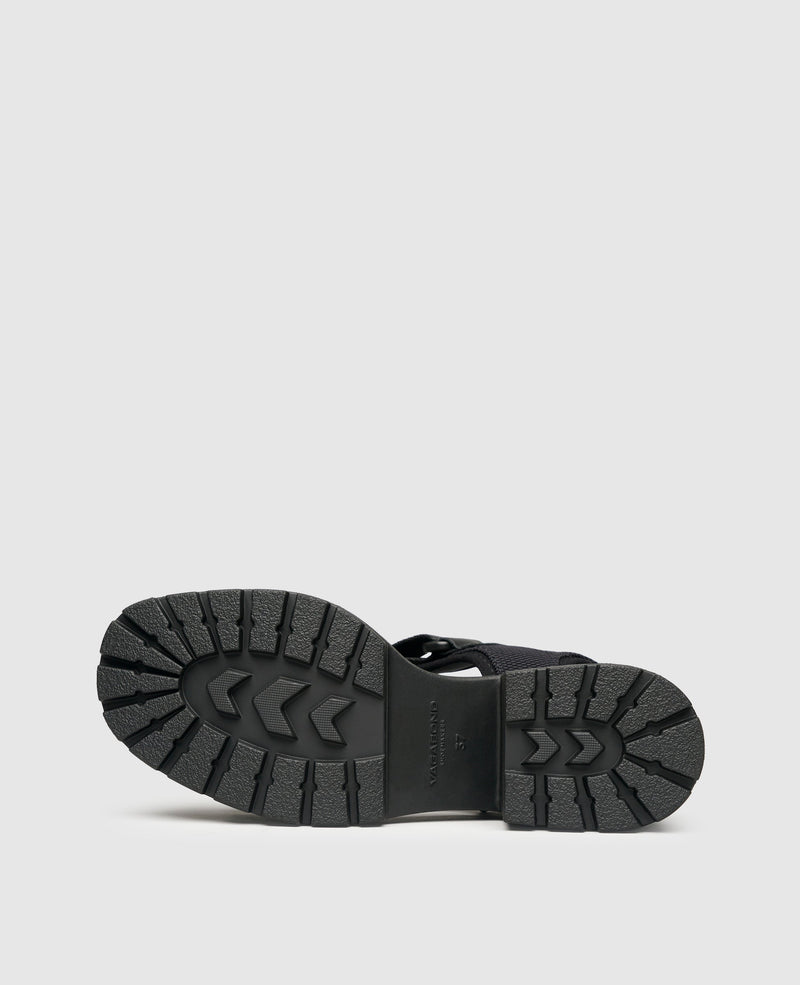 Dioon - Black