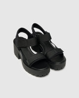 Dioon - Black