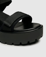 Dioon - Black