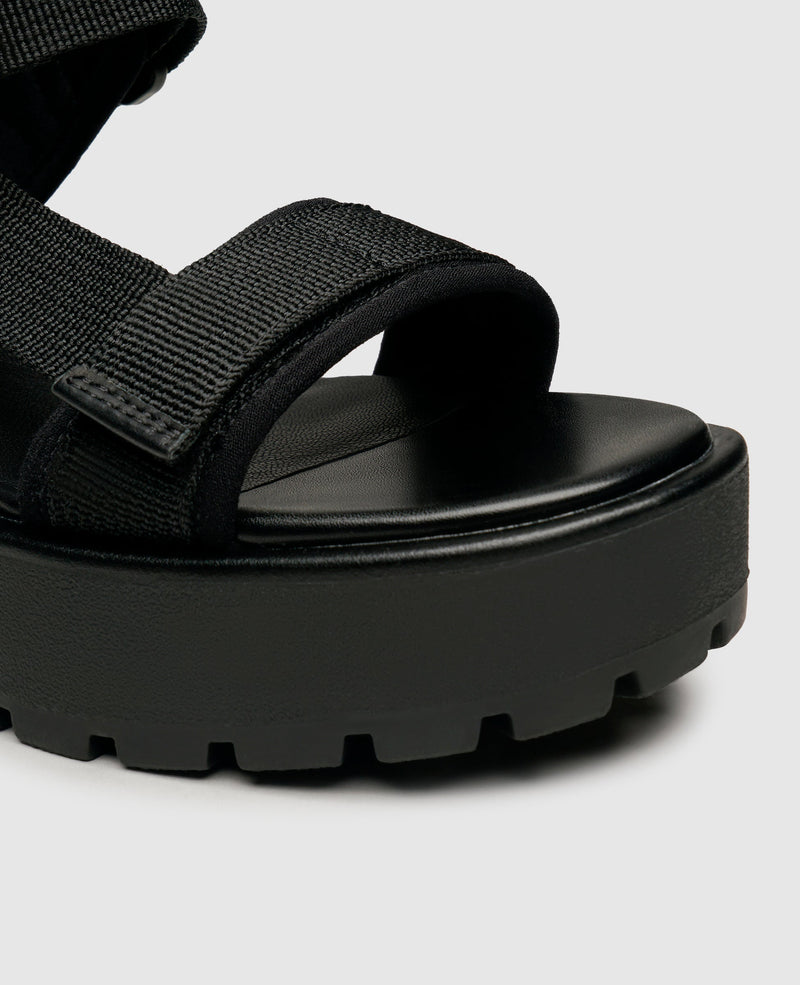 Dioon - Black