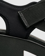 Dioon - Black
